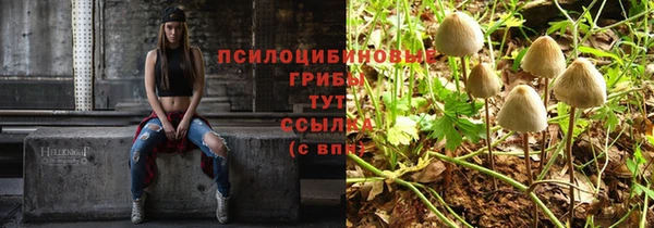 гидропоника Балабаново